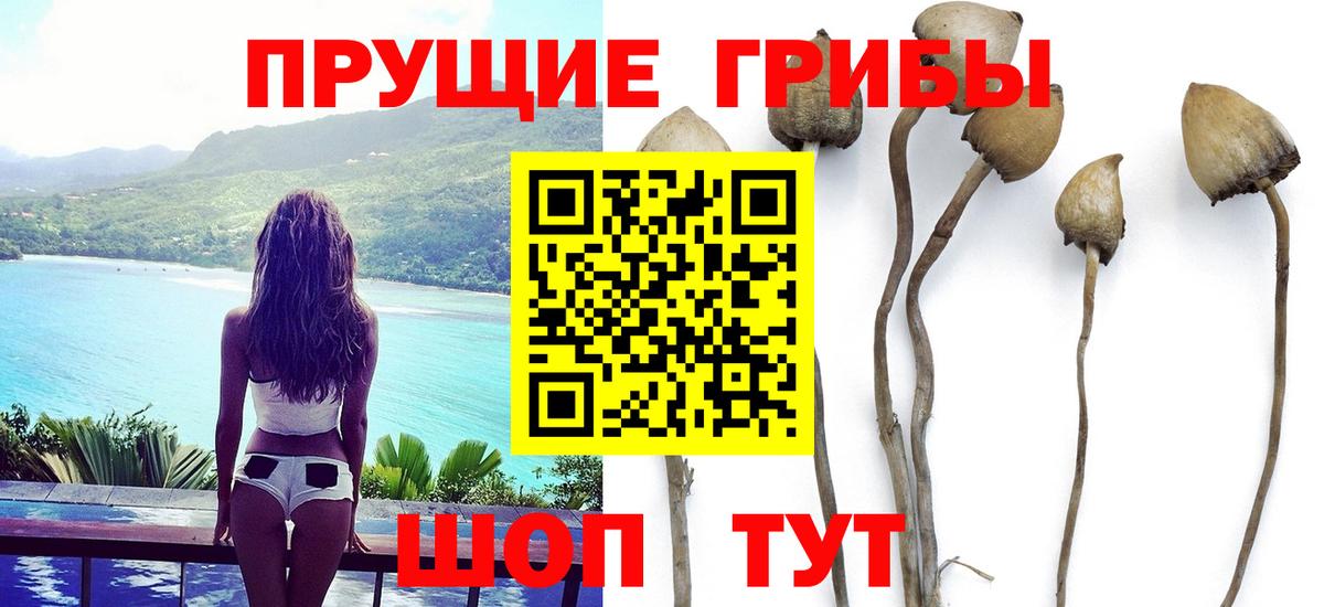 Псилоцибиновые грибы MAGIC MUSHROOMS  Спасск-Дальний 