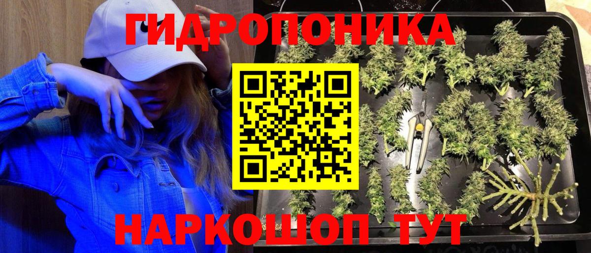 Канабис сатива Спасск-Дальний